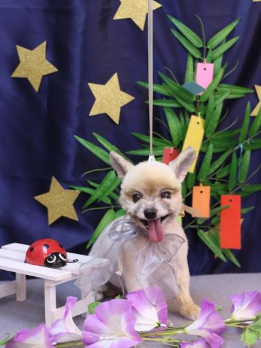 20230714エルくん